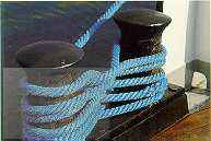 spundyed high tenacity polyester multifilament yarns