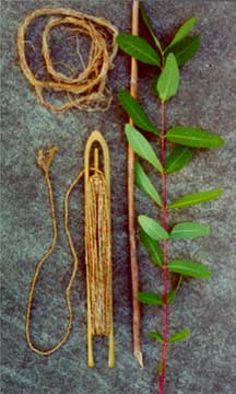 Apocynum fibers in its historic uses