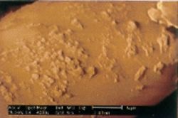 electron microscope view of the surfaces of fracture of a piece of concrete using anti fire crack AFC and micro crack preverter MCP fibers in polypropylene