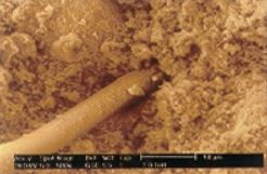 electron microscope view of the surfaces of fracture of a piece of concrete using anti fire crack AFC and micro crack preverter MCP fibers in polypropylene