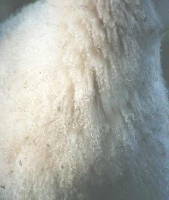 cashmere fleece - also called goat wool