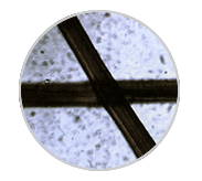 Crabyon - chitin/chitosan and cellulose are dyeing evenly