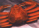 Crab chitin as rawmaterial for fibers for healthy textiles