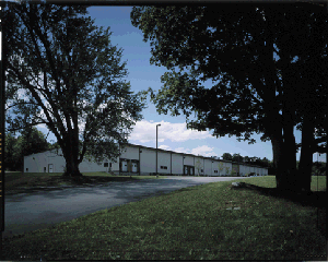 Claremont Flock during summer
