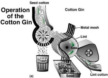 cotton gin diagram what s ginning 1266780 meritnation cotton gin diagram what s ginning 1266780 meritnation