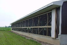 High density (HDPE) and high tenacity (GRET) polyethylene monofilament yarns for bird barriers in buildings to protect lifestock