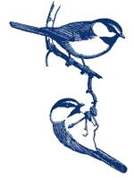 High density (HDPE) and high tenacity (GRET) polyethylene monofilament yarns for bird protection nets