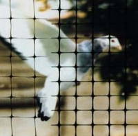 High density (HDPE) and high tenacity (GRET) polyethylene monofilament yarns for bird nets