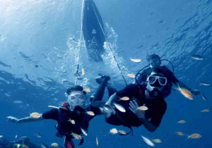 High density (HDPE) and high tenacity (GRET) polyethylene monofilament yarns from Esbjerg Thermoplast for diving line