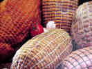 HDPE monofilaments for elastic food nets