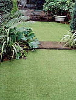 Vitagrass monofilaments for artificial grass