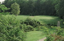 Vitagrass monofilaments for artificial grass on sports grounds like golf