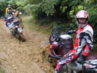 tow ropes in motor sports