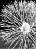 flocked yarn from Technofibre SA - magnified