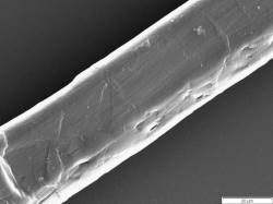 Litrax ONE - natural bio bamboo fiber - microscopic longitudinal view
