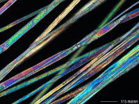 Litrax ONE - bio bamboo fiber under microscope