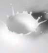 milk drop - black and white