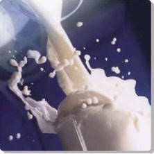 Milk fiber for fabrics