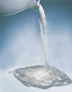 Milk into fiber