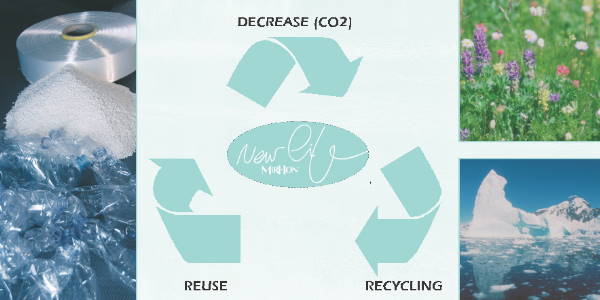 recycle polyester