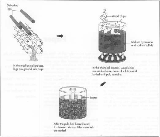 Most paper is made by a mechanical or chemical process.