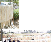 Abaca Fiber - cut and sliced