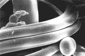 microfiber picture