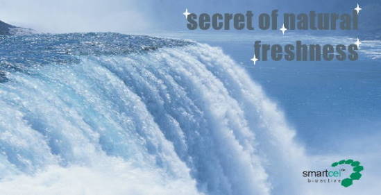 smartcel bioactive - the secret of natural freshness and cleanliness