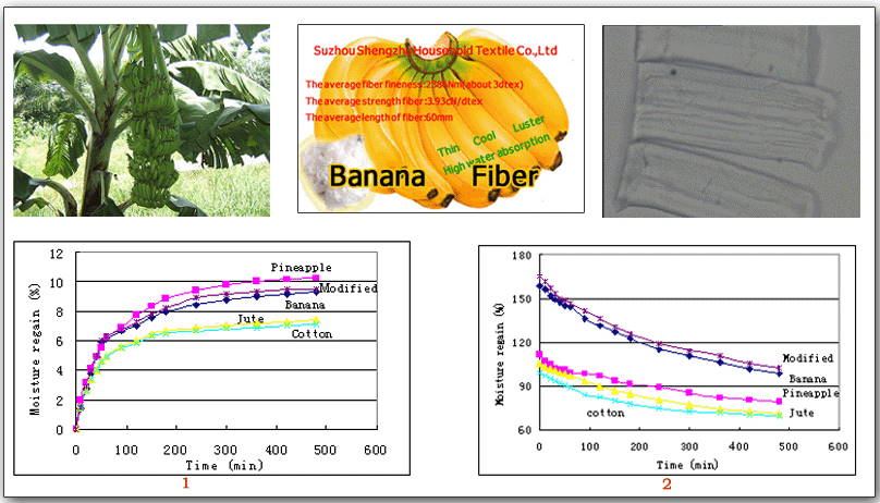 banana info