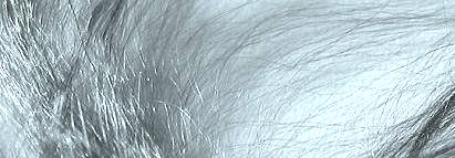 Stainless steel fiber specialities from Ugitech SA