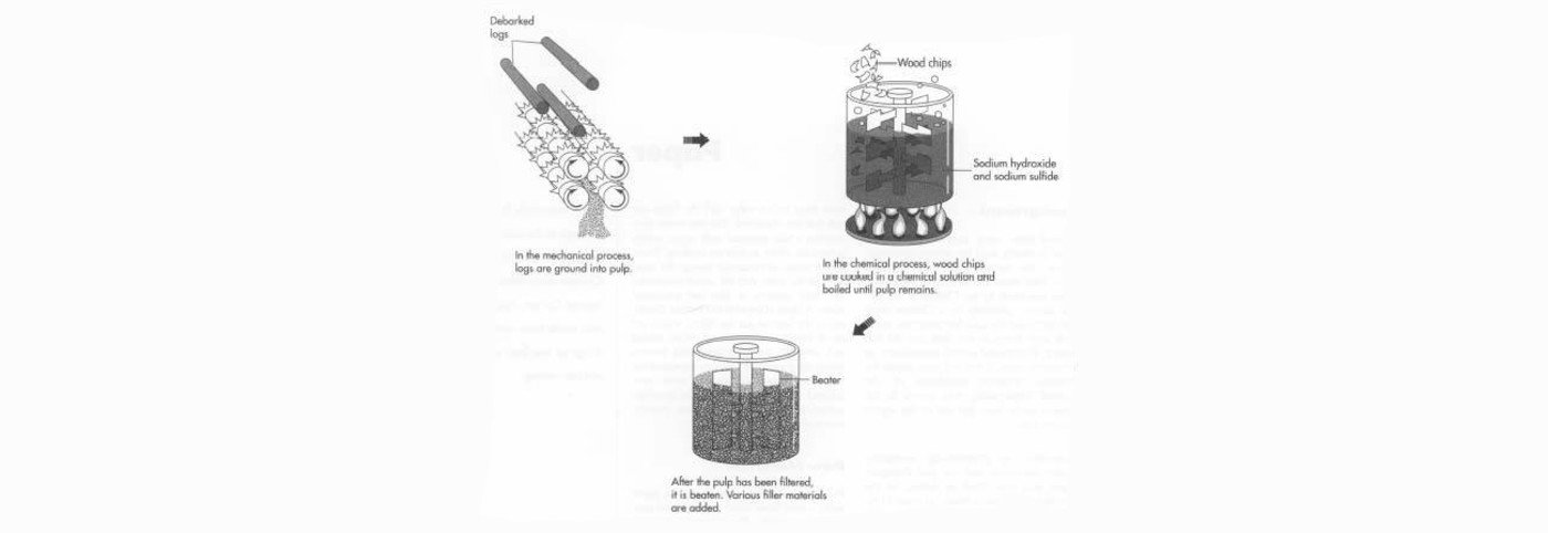 Most paper is made by a mechanical or chemical process.