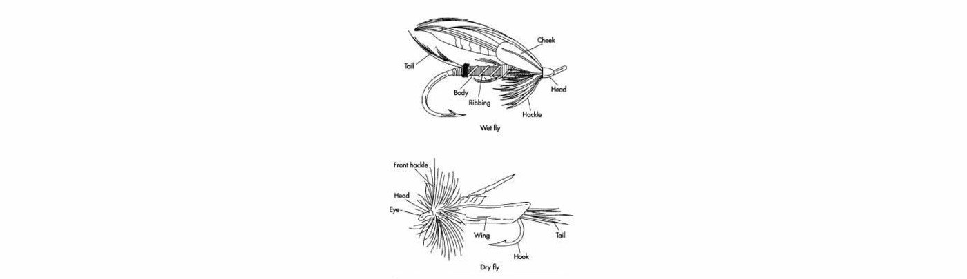 Fishing fly designs use bits of feather and fur tied to the hook to look like the segmented bodies of insects. The basic segments of a dry fly are the long and stiff tail, the body, the hackle (a flayed section of feathers that looks like legs touching the water), and out-stretched wings. On a wet fly, the hackle is sparse, and the wing is folded back over the body. Nymphs, streamers, and bucktails have soft tail and body material, which is sometimes wrapped around lead to make them sink more quickly. They also have long, soft wings often made of marabou feathers that make the silhouettes like minnows. The tier uses a special, y-shaped bobbin for holding a spool of thread, fine scissors, and a vise. A rotary vise is especially useful for turning the fly during the process. Different materials are used depending on the type of fly.