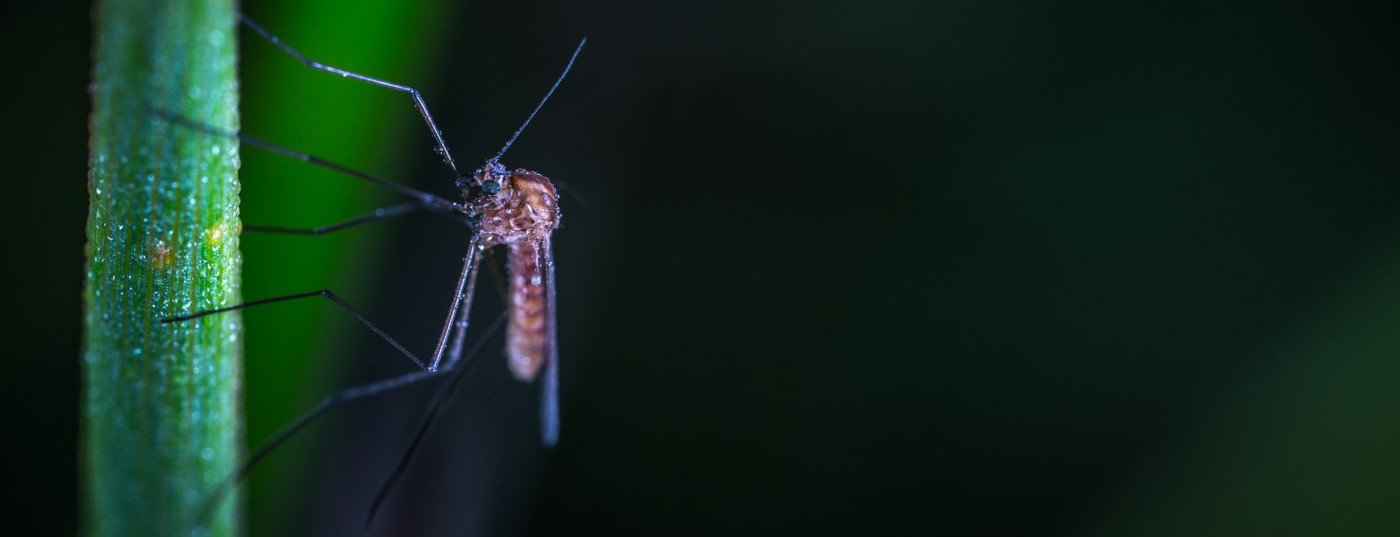 Yarn and fibers with permethrin for insect repellent, anti-insect, anti-mosquito purposes.