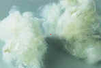 Jiaxing Fulin PET staple fiber Jiaxing Fulin PET staple fiber
