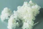 Jiaxing Fulin PET hollow conjugated staple fiber