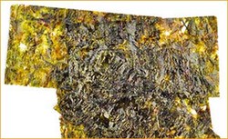 smartcel Seaweed smartcel Seaweed