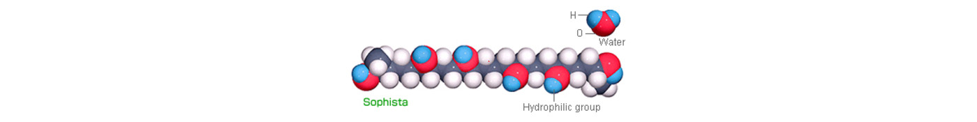 Sophista is the first synthetic fiber with hydrophilic radical