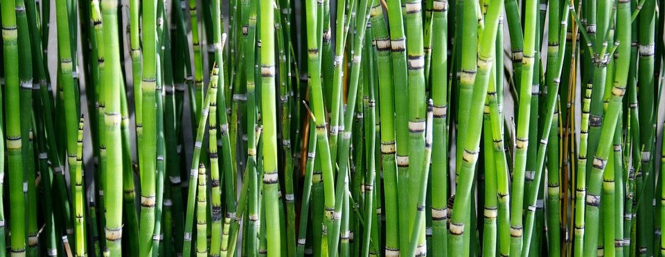 Bamboo (natural) BAM